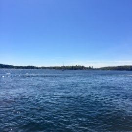 Fortsatt förtroende – Vaxholm