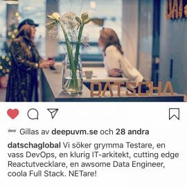 DATSCHA VÄXER